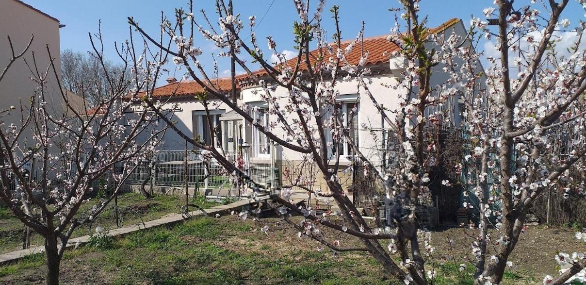 La Maison Du Bonheur Saint-Laurent-de-la-Salanque Zewnętrze zdjęcie
